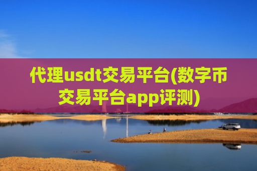 代理usdt交易平台(数字币交易平台app评测)