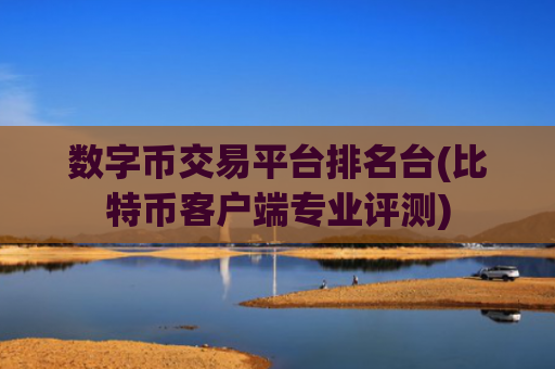 数字币交易平台排名台(比特币客户端专业评测)
