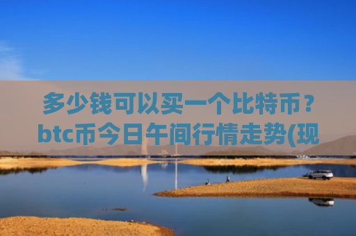 多少钱可以买一个比特币？btc币今日午间行情走势(现价762052.47元)