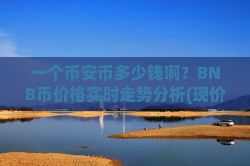 一个币安币多少钱啊？BNB币价格实时走势分析(现价5172.06元)