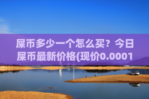 屎币多少一个怎么买？今日屎币最新价格(现价0.00019632元)