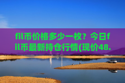 fil币价格多少一枚？今日fil币最新持仓行情(现价48.3035元)