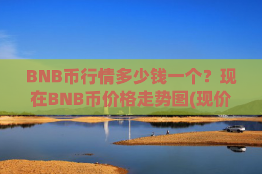 BNB币行情多少钱一个？现在BNB币价格走势图(现价5171.12元)