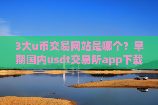 3大u币交易网站是哪个？早期国内usdt交易所app下载