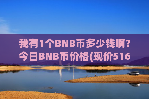 我有1个BNB币多少钱啊？今日BNB币价格(现价5166.89元)