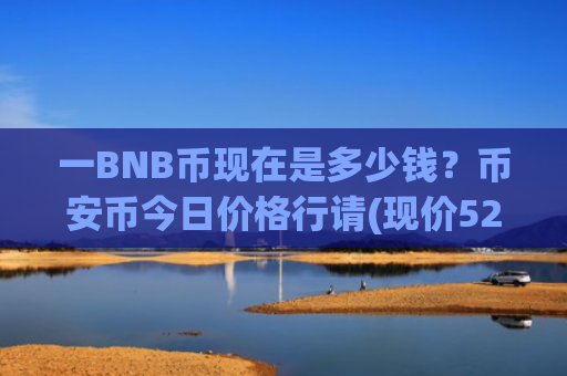 一BNB币现在是多少钱？币安币今日价格行请(现价5238.37元)