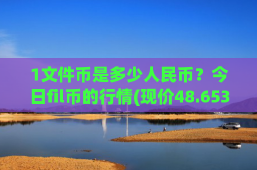1文件币是多少人民币？今日fil币的行情(现价48.6531元)