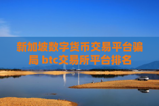 新加坡数字货币交易平台骗局 btc交易所平台排名