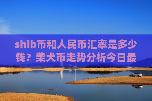 shib币和人民币汇率是多少钱？柴犬币走势分析今日最新行情(现价0.00019811元)