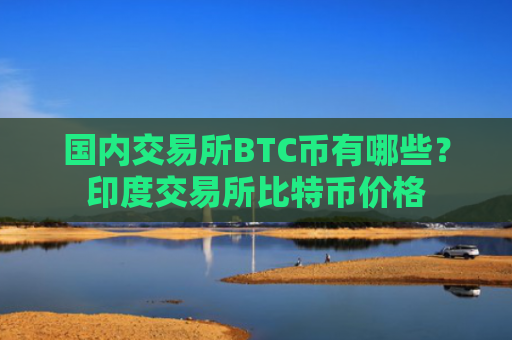 国内交易所BTC币有哪些？印度交易所比特币价格
