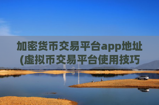 加密货币交易平台app地址(虚拟币交易平台使用技巧)