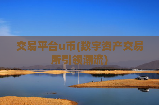 交易平台u币(数字资产交易所引领潮流)