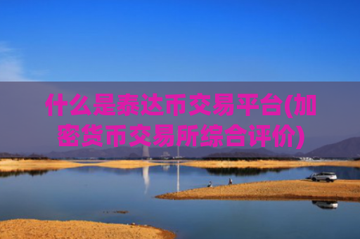什么是泰达币交易平台(加密货币交易所综合评价)