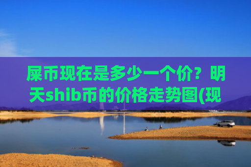 屎币现在是多少一个价？明天shib币的价格走势图(现价0.00019477元)