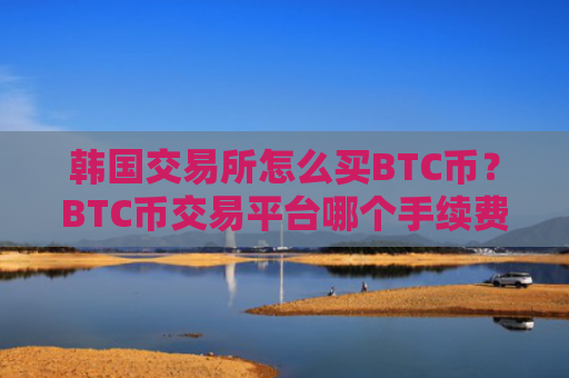 韩国交易所怎么买BTC币？BTC币交易平台哪个手续费低