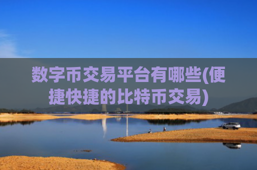 数字币交易平台有哪些(便捷快捷的比特币交易)