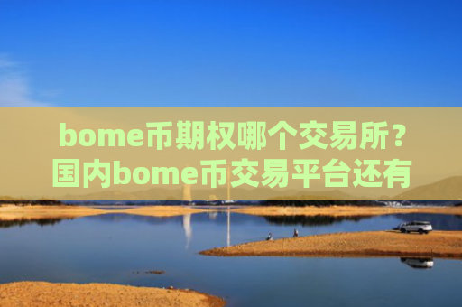 bome币期权哪个交易所？国内bome币交易平台还有吗