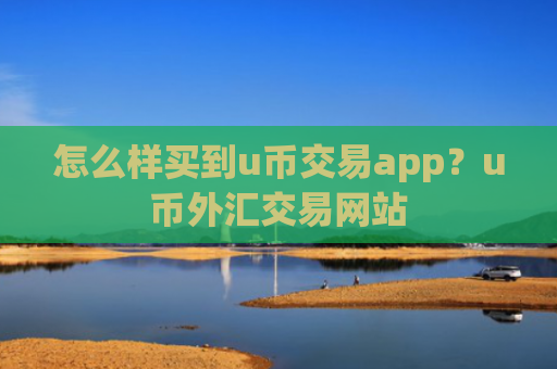 怎么样买到u币交易app？u币外汇交易网站