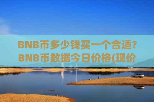 BNB币多少钱买一个合适？BNB币数据今日价格(现价5249.14元)