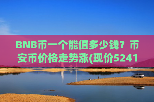 BNB币一个能值多少钱？币安币价格走势涨(现价5241.21元)