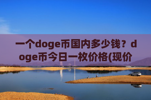 一个doge币国内多少钱？doge币今日一枚价格(现价3.0173元)