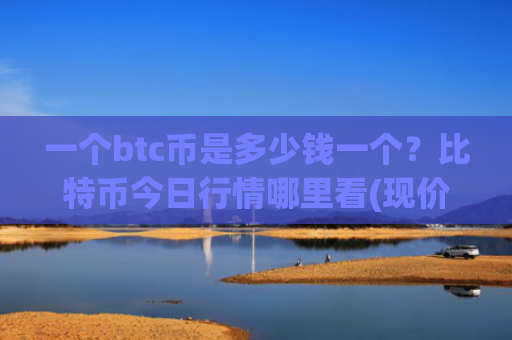 一个btc币是多少钱一个？比特币今日行情哪里看(现价764518.96元)