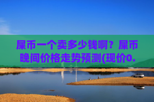 屎币一个卖多少钱啊？屎币晚间价格走势预测(现价0.00020375元)
