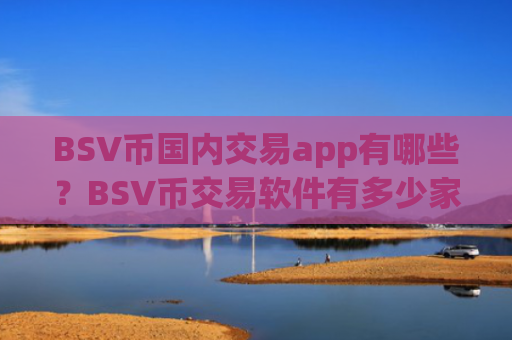 BSV币国内交易app有哪些？BSV币交易软件有多少家