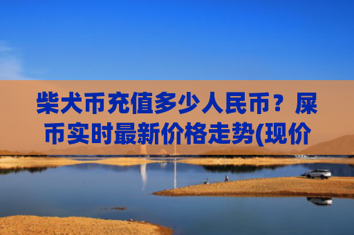 柴犬币充值多少人民币?屎币实时最新价格走势(现价0.00020234元)