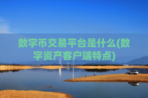 数字币交易平台是什么(数字资产客户端特点)