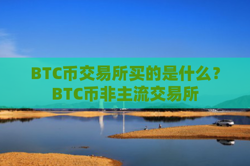 BTC币交易所买的是什么?BTC币非主流交易所