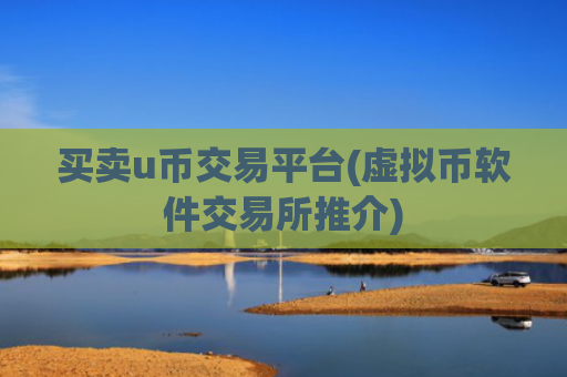 买卖u币交易平台(虚拟币软件交易所推介)