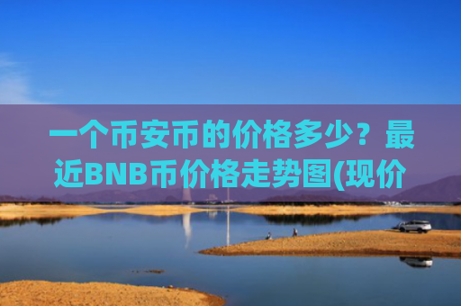一个币安币的价格多少？最近BNB币价格走势图(现价5219.1元)