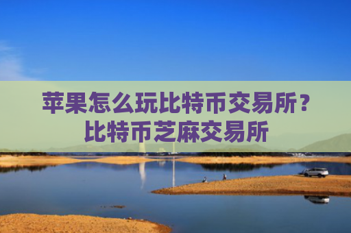 苹果怎么玩比特币交易所？比特币芝麻交易所