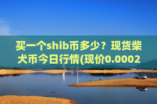 买一个shib币多少？现货柴犬币今日行情(现价0.00020205元)