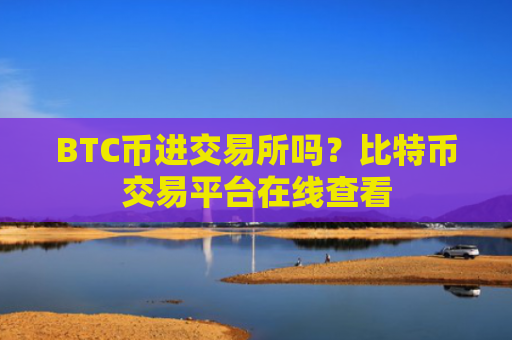 BTC币进交易所吗？比特币交易平台在线查看