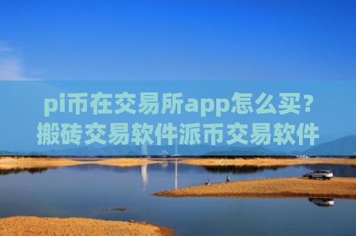 pi币在交易所app怎么买？搬砖交易软件派币交易软件