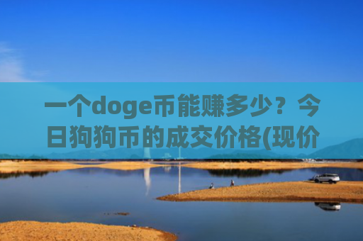一个doge币能赚多少?今日狗狗币的成交价格(现价2.9351元)