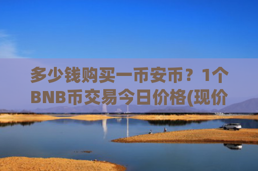 多少钱购买一币安币?1个BNB币交易今日价格(现价5230.89元)