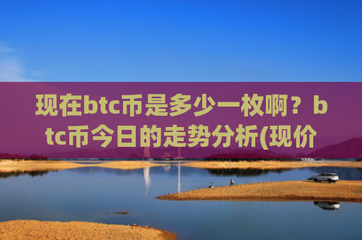 现在btc币是多少一枚啊？btc币今日的走势分析(现价743817.03元)