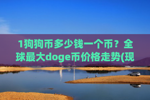 1狗狗币多少钱一个币？全球最大doge币价格走势(现价2.9064元)