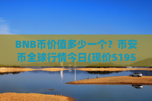 BNB币价值多少一个？币安币全球行情今日(现价5195.03元)