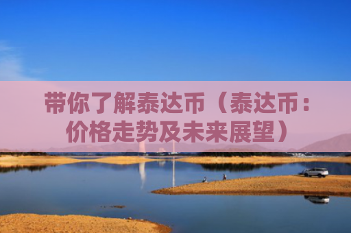 带你了解泰达币（泰达币：价格走势及未来展望）