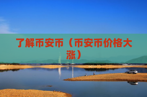 了解币安币（币安币价格大涨）