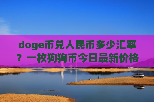 doge币兑人民币多少汇率？一枚狗狗币今日最新价格(现价2.9023元)