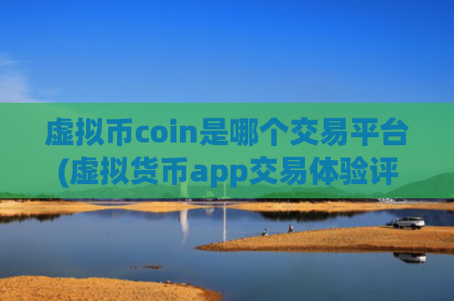 虚拟币coin是哪个交易平台(虚拟货币app交易体验评价)