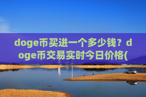 doge币买进一个多少钱?doge币交易实时今日价格(现价2.8905元)