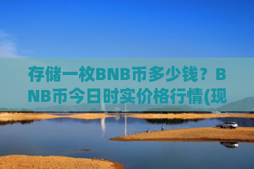 存储一枚BNB币多少钱？BNB币今日时实价格行情(现价5195.81元)