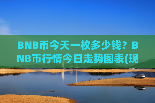 BNB币今天一枚多少钱？BNB币行情今日走势图表(现价5196.56元)