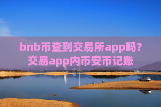 bnb币查到交易所app吗？交易app内币安币记账